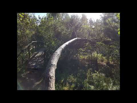 Polska 🇵🇱 Gdańsk Rezerwat przyrody " Ptasi Raj " #travel#poland#polnisch#gdansk#danzig