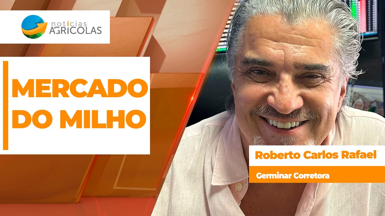 Soma de fatores positivos devem manter cotações do milho em alta em Chicago e no Brasil