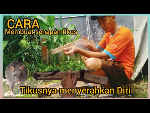 Tutorial Merakit Senapan untuk membasmi tikus@sulselok2593