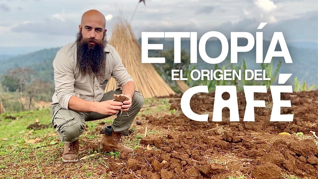 Vídeo sobre CAFÉS DE ETIOPÍA