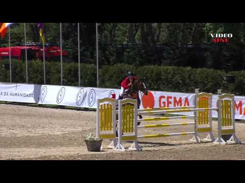 Stanfour 4 (8YO) CSI** Small GP