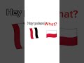 Yemens Flag Countyball Meme Countryballsedit Countryballanimation Memes