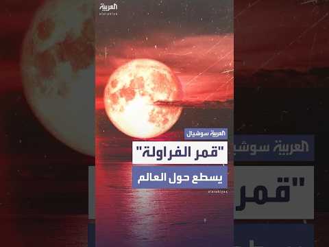 فيديو | "قمر الفراولة".. ظاهرة نادرة تضيء العالم مع الانقلاب الصيفي