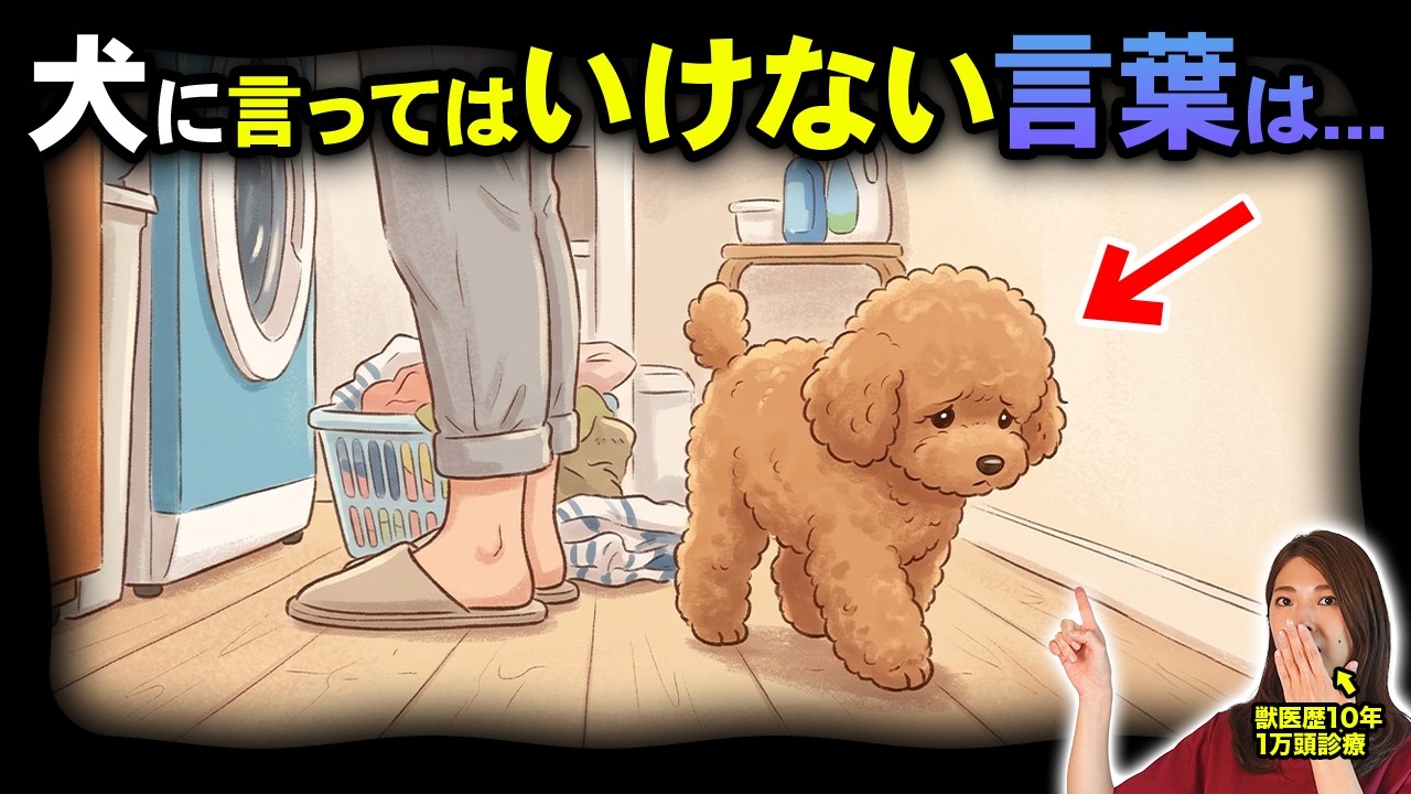 【絶対ダメ】犬に言ってはいけない傷つける言葉6選