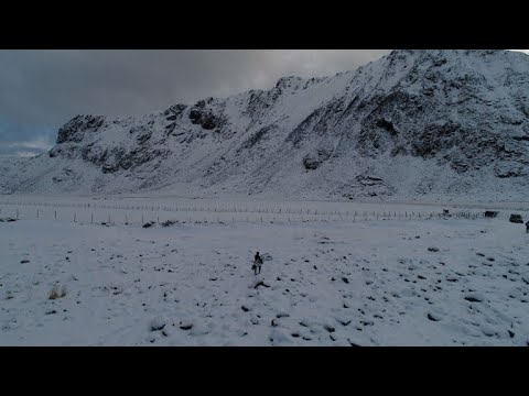 Braving the cold: Surfing above the Arctic Circle