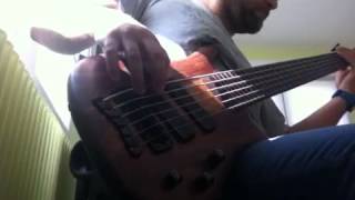 G. Love and Special Sauce | Give it to you Bass Cover |