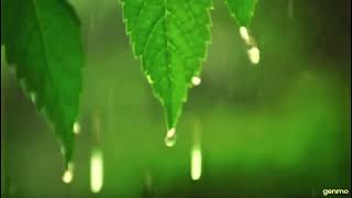 So Cold(The Good Wife Trailer)Ben Cocks, Nikisha Reyes-Pile