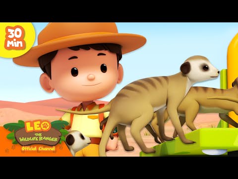 Witness21 Editor  2024 03 14