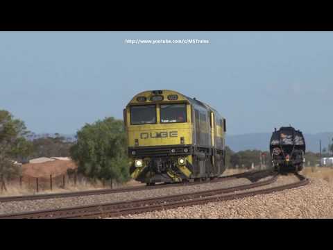 Qube Grain Train, Rebuilt 830 & More! Mid North SA Rail Movements Finale