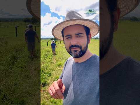 Fazenda à Venda - Baianopolis