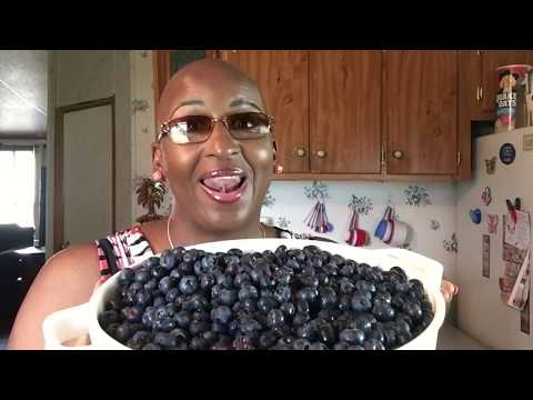 download lagu mp3 mp4 Blueberry Jubilee Recipe, download lagu Blueberry Jubilee Recipe gratis, unduh video klip Blueberry Jubilee Recipe