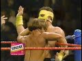 Pro Wrestling