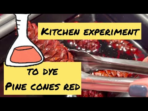 Can you dye pine cones red?