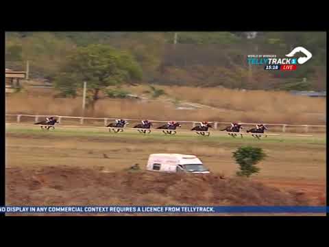 2020.06.26 Zimbabwe Derby - Lily Blue