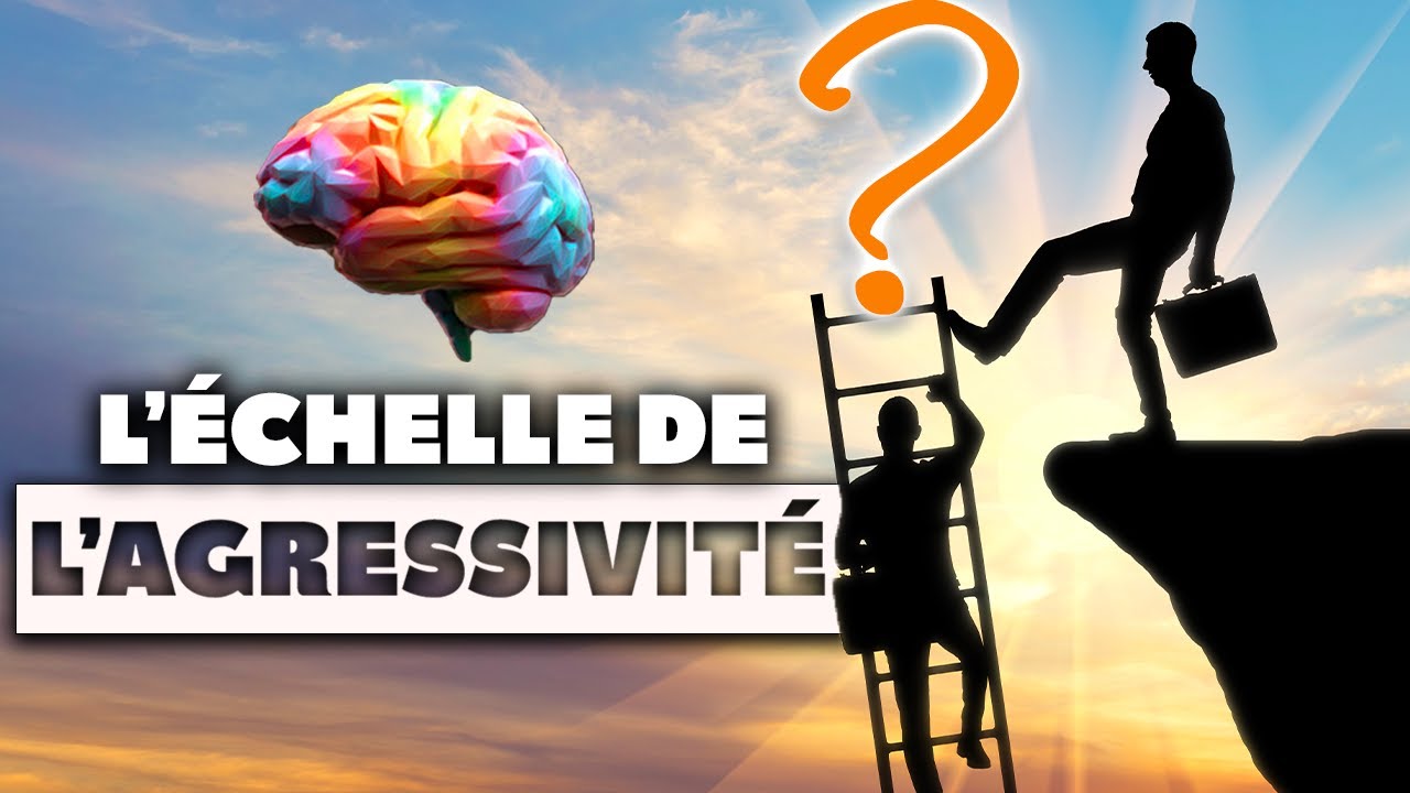 L'échelle de l'Agressivité en Psychologie expliquée SIMPLEMENT