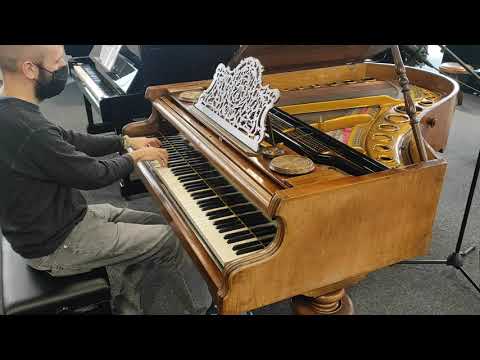 Flügeltest - Czapka & Sohn