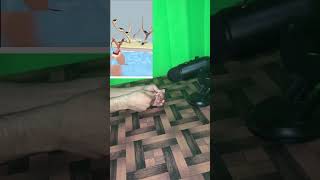 Slingshot game sound effect #soundeffects #games