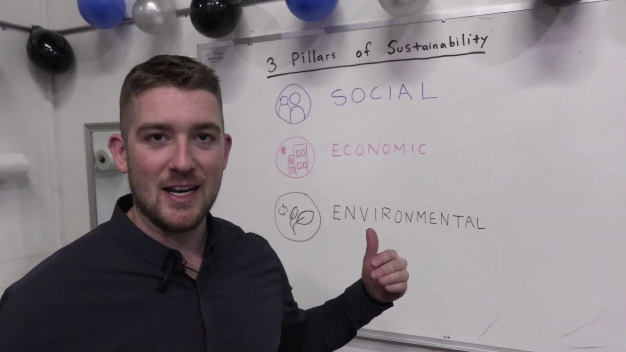What are the 3 types of sustainability?