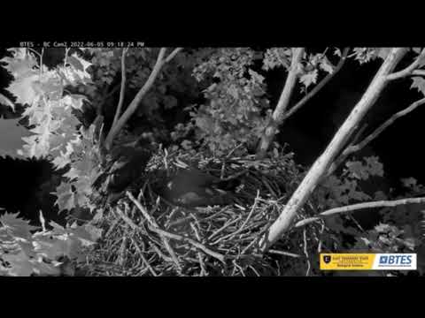 2022 06 05 BC AdultVocals 0918pm