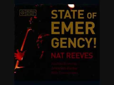 Nat Reeves   State of Emergency!   Brick's Blues