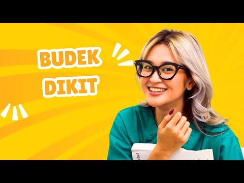 kopilawak-budek-dikit