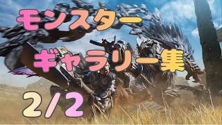 【モンスターハンターワイルズ】ギャラリー集2/2