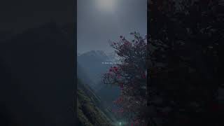 Download lagu Thoda Thoda Pyaar - Aesthetic lyrics Status | Slowed and Reverb Songs | #shorts mp3 Download lagu Thoda Thoda Pyaar - Aesthetic lyrics Status | Slowed and Reverb Songs | #shorts mp3