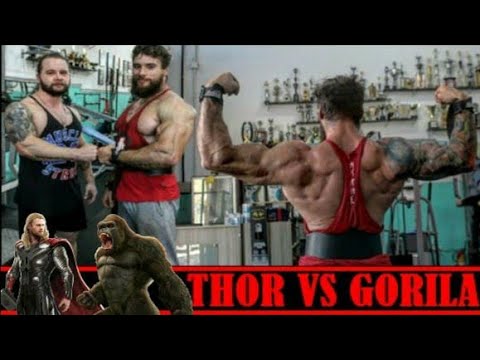 MELHORE SUAS COSTAS COM JÚLIO GORILA E YURE THOR