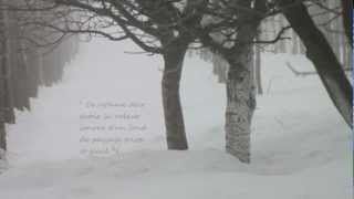 Footprints in the Snow / Des pas sur la neige - Preludes, Book 1, No. 6, Debussy