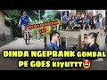 DINDA NGEPRANK PE GOES KIYUTTTT BAPER HAMPIR PINGSAN