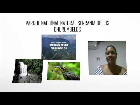 SERVICIOS ECOSISTEMICOS ( PIAMONTE / CAUCA)