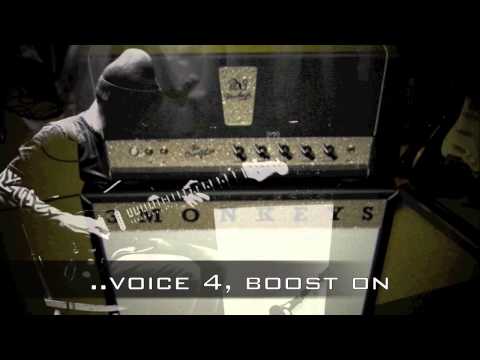 3 Monkeys Amplifiers Orangutan 2017 - Head & 2x12 Cabinet image 11