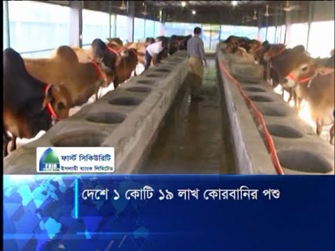 দেশে ১ কোটি ১৯ লাখ কোরবানির পশু