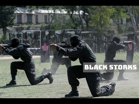 Special Services Group (SSG) Commandos "Man Janbazam"