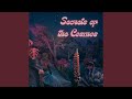 Stardust Serenade