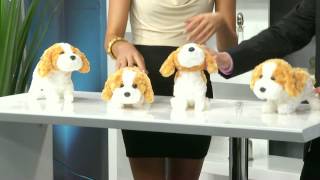 Gianna Rose zeigt den Playtastic Plüsch-Funktionshund mit Akustik- & Berührungssensoren ⁨@PEARL-TV