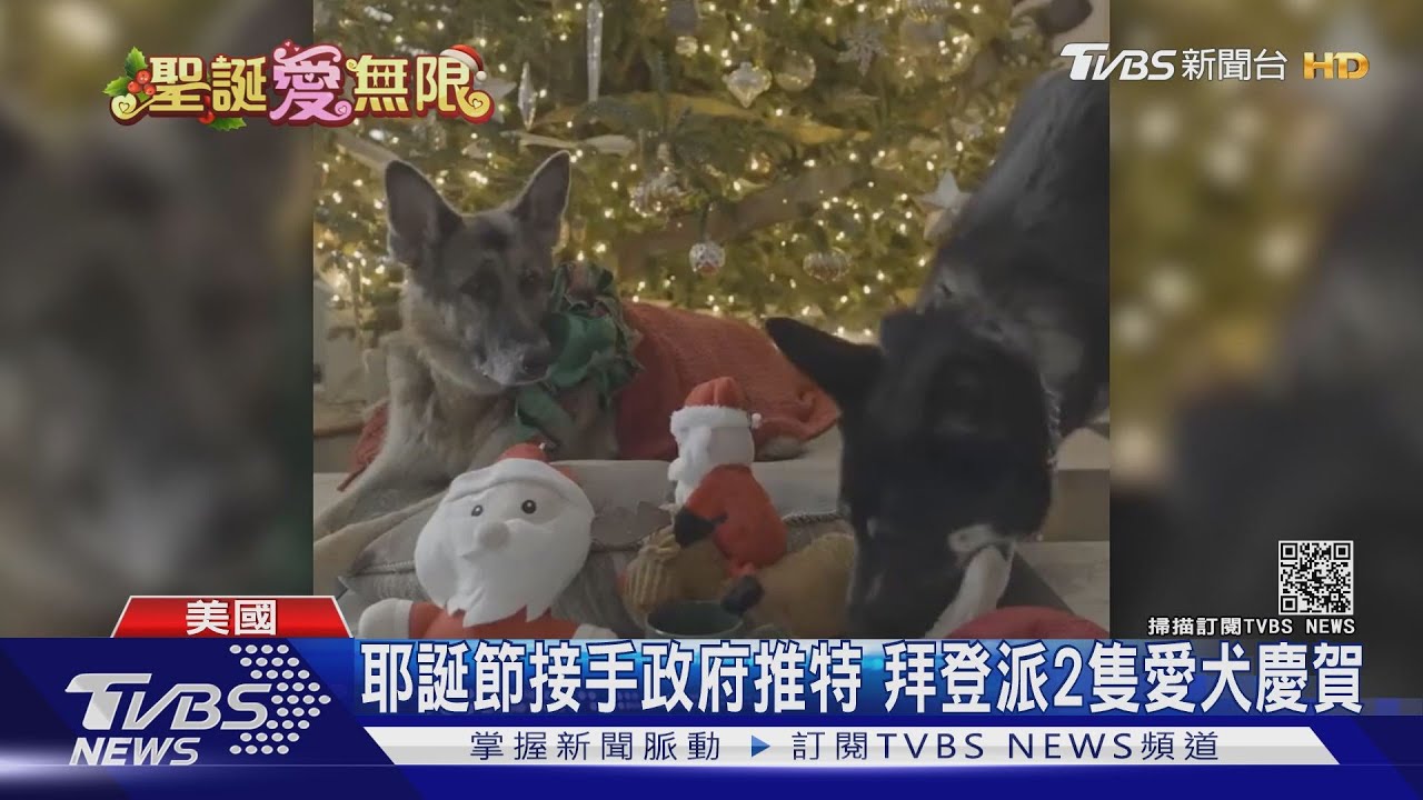耶誕節接手政府推特　拜登派2隻愛犬慶賀