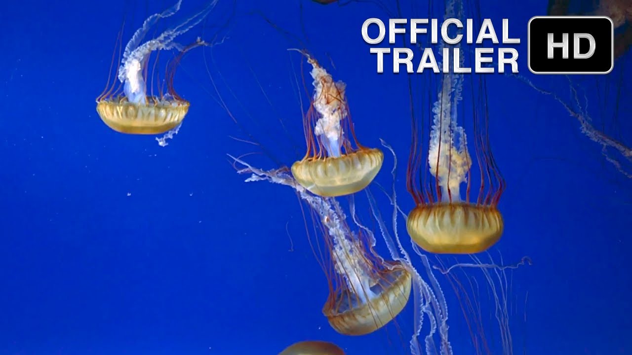 The Living Sea (1995) | Official Trailer