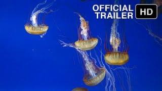 The Living Sea -  Official IMAX Trailer - HD music by Sting