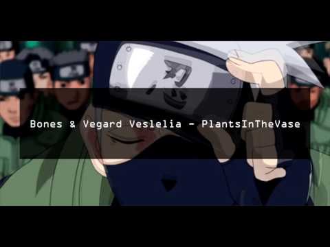 Bones & Vegard Veslelia   PlantsInTheVase