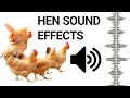 Hen Sound To Attract Roosters Chicken Sound Effects Free