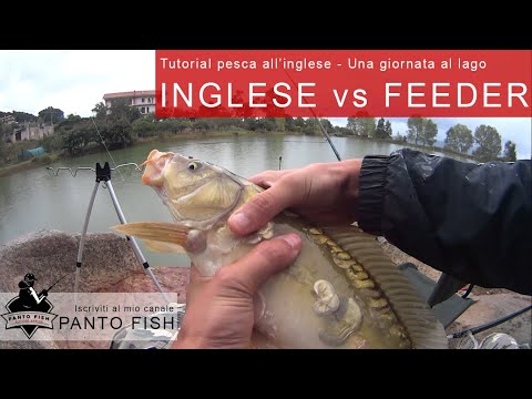 Inglese Vs Feeder - Una giornata al lago