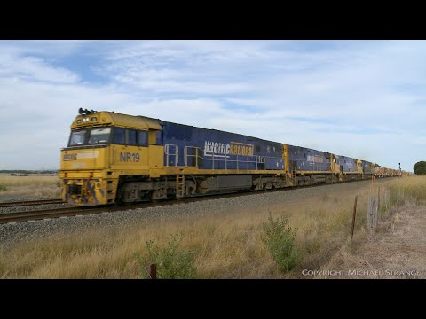 1MP2 Quad NR's With Steel & Container Wagons (10/1/2021) - PoathTV Australian Trains & Railways