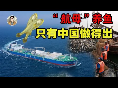 养鱼船比航母都大！中国用13万吨的&ldquo;航母&rdquo;养鱼，到底有多牛？