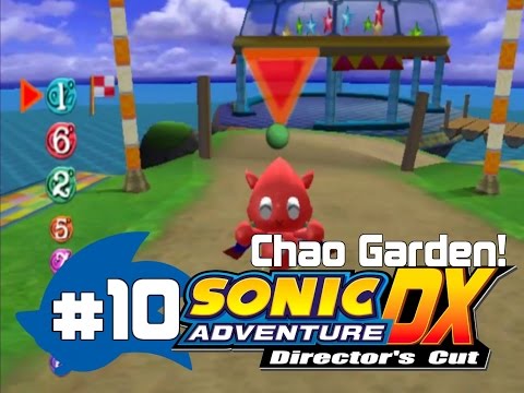 Sonic Adventure DX %100 Walkthrough - Chao Garden - Part 10