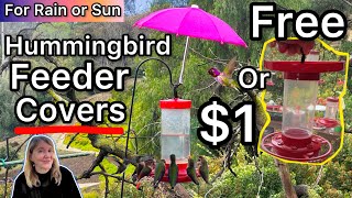 FREE DIY or Cheap Hummingbird Feeder Cover for Rain / Shade Hummingbirds LOVE &amp; How to Make Nectar