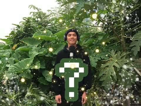 (GREY) DAMOHAN (lyrics video) #storytelling #atthetoprecord