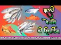 Mchchali Ka Prachar मछली बेचने का प्रचार रिकॉर्डि�