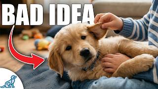 What Parents NEED To Know Before Getting Their Kid A Dog