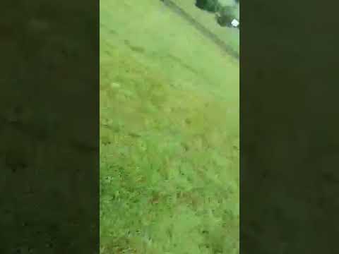 Birkenfest rüdershausen